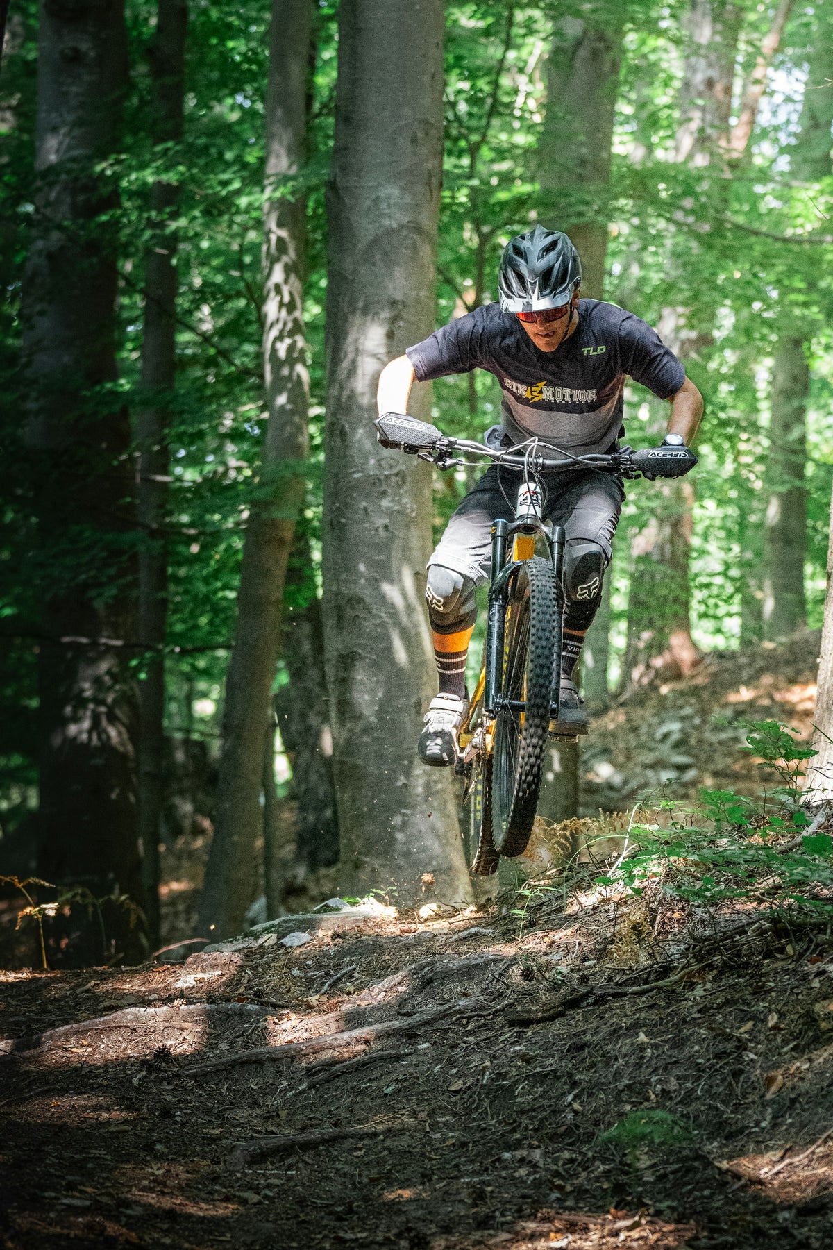 A mountain biker airborne above a forest trail